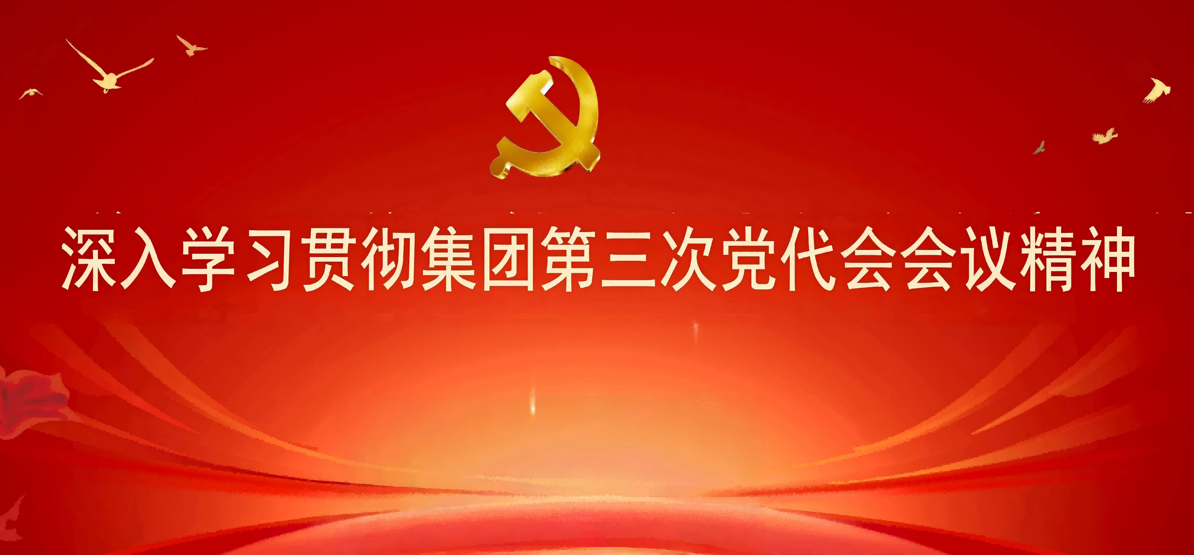 山东人民出版社学习贯彻集团第三次党代会会议精神